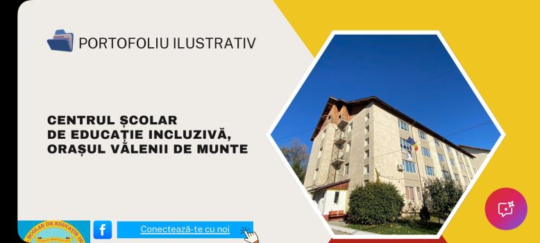 portofoliu img.png 1